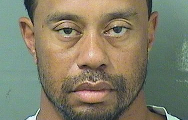 gilbert arenas tiger woods dui response
