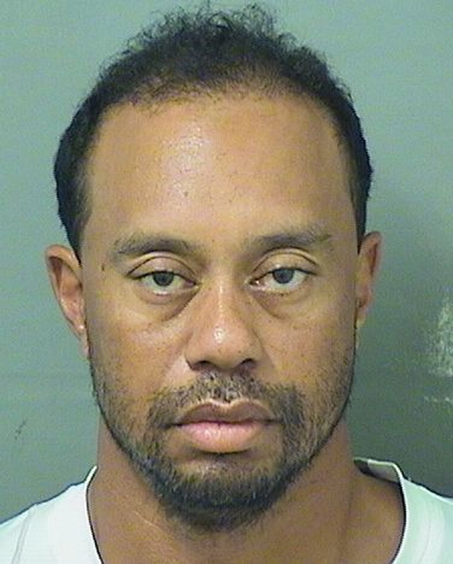 gilbert arenas tiger woods dui