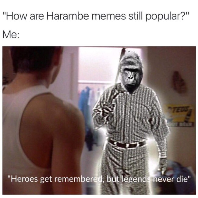 Harambe Meme