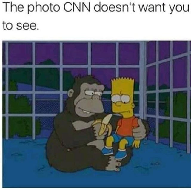 Harambe Meme