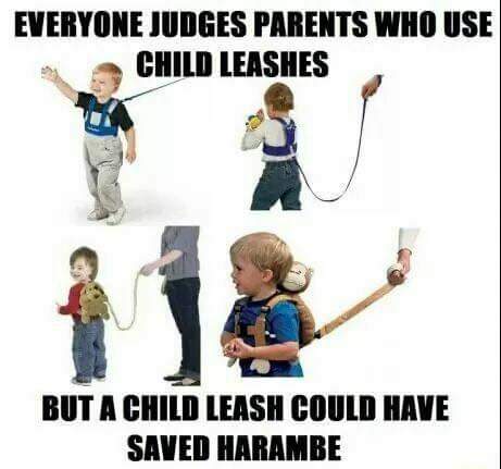 Harambe Meme