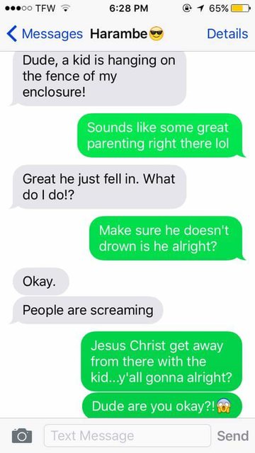 Harambe Meme