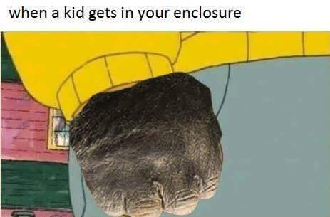 Harambe Meme