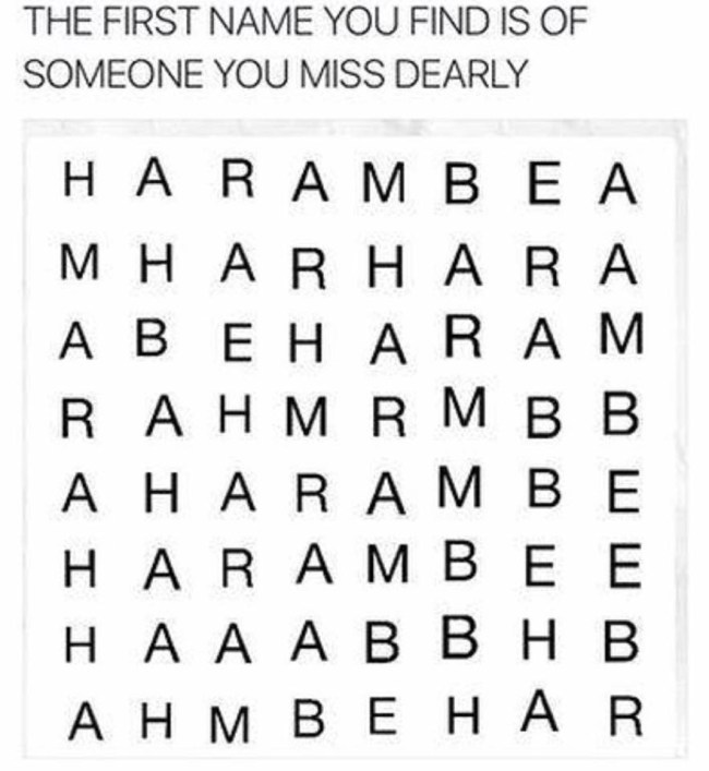 Harambe Memes