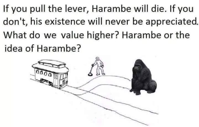 Harambe Meme