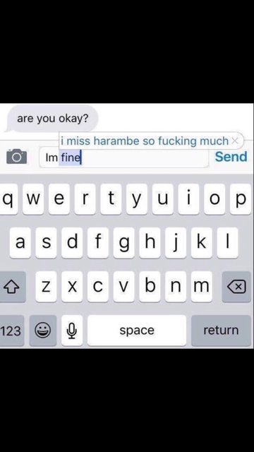 Harambe Meme