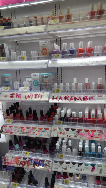 Harambe Meme