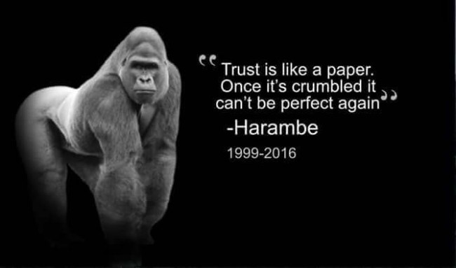 Harambe Meme