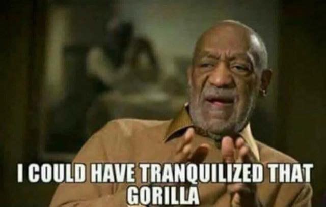 Harambe Meme