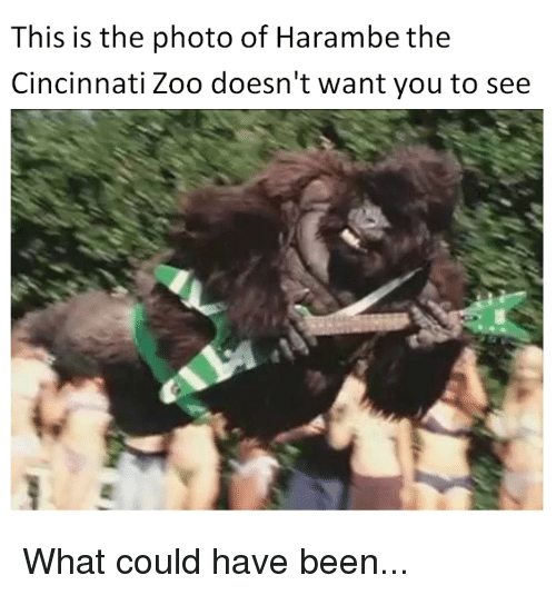 Harambe Meme