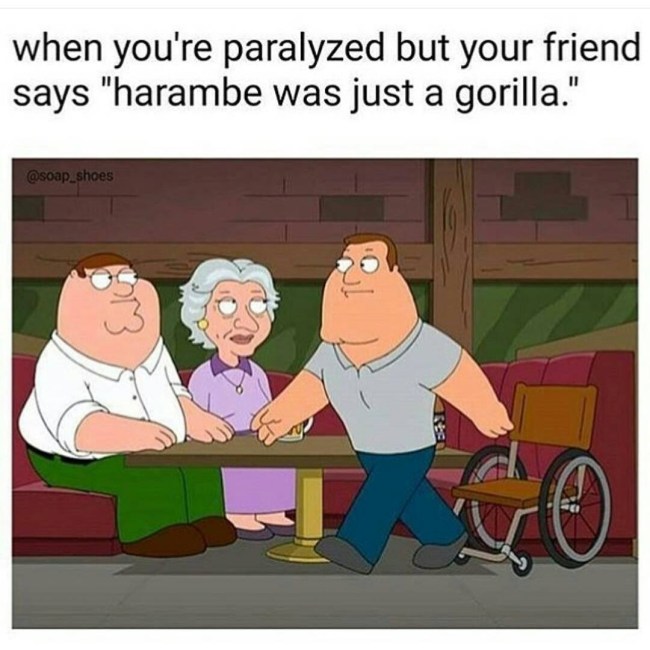 Harambe Meme