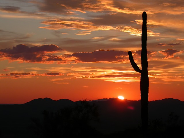 arizona