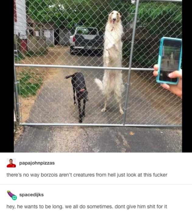 best of tumblr
