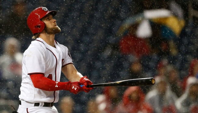 bryce harper cupping Therapy