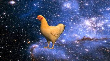 Turn Up The Deep House During Dinner Because Your Chicken Might Have Ketamine In It
