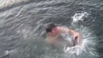 Dude Jumps Off The Dock And Wrestles A Live Shark While His Friends Go Nuts