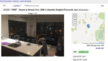 Chill 25-Year-Old D.C. Bro Writes An Epic Craigslist Ad — Er, Novel — For A New Roommate