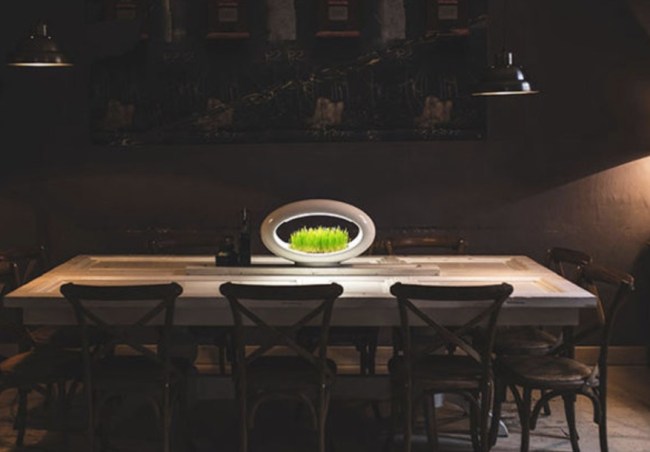 things we want grasslamp