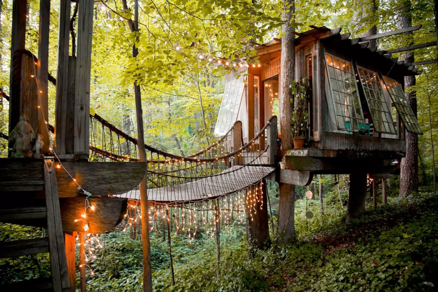 treehouse airbnb most popular listing
