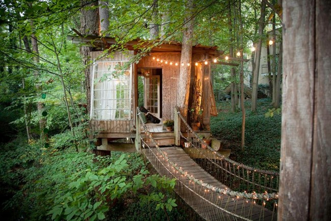 treehouse airbnb most popular listing