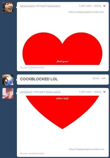 tumblr's best