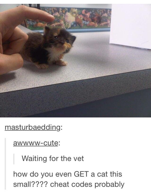 tumblr's best
