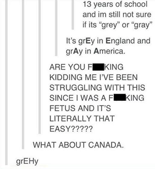 tumblr's best