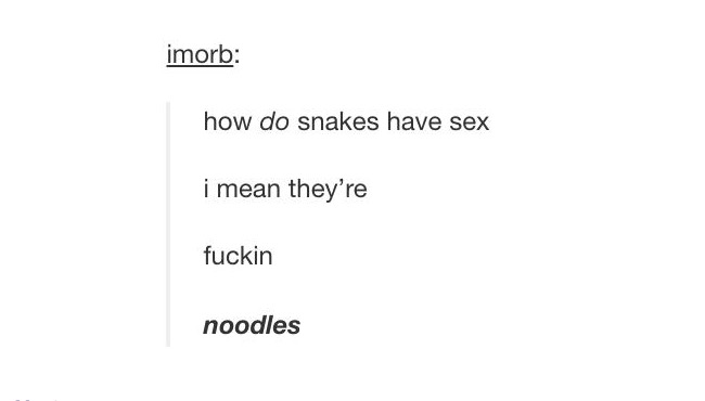 tumblr's best