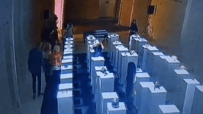 Selfie Destroys $200,000 In Art