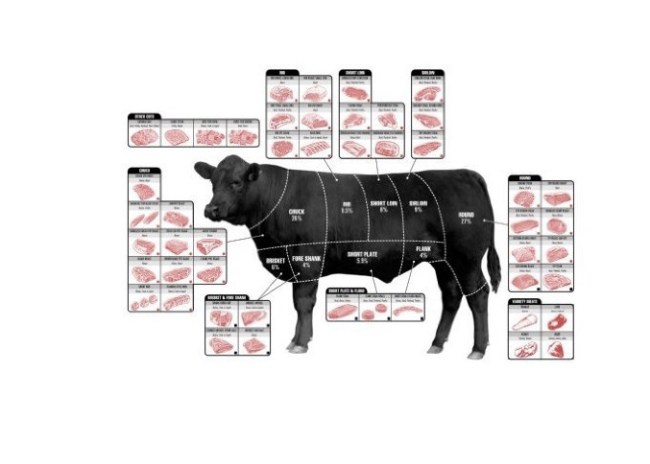 cuts of meat poster