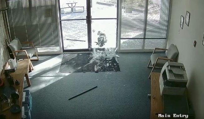 Goat smashes glass doors