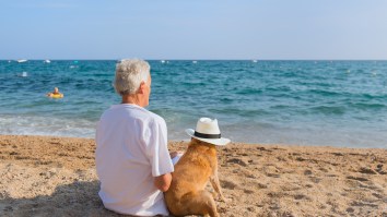 The Average American Working Household Has Virtually Zero Retirement Savings