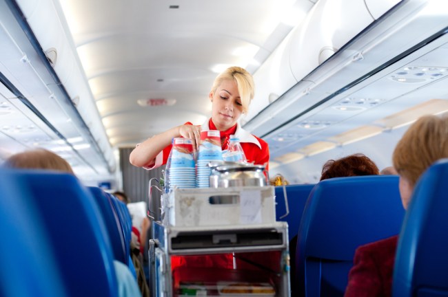 flight attendant