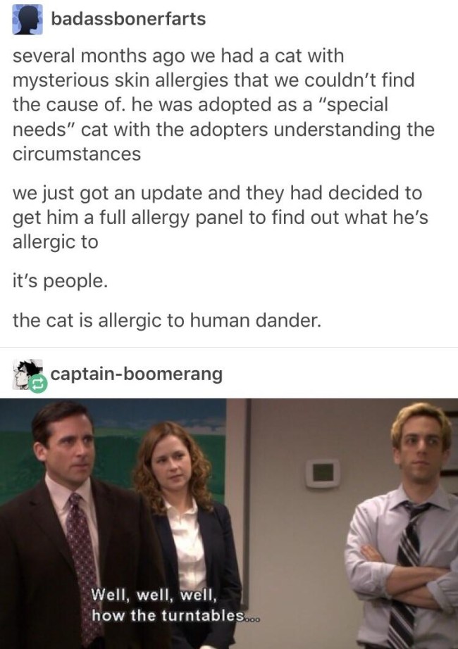 tumblr's best
