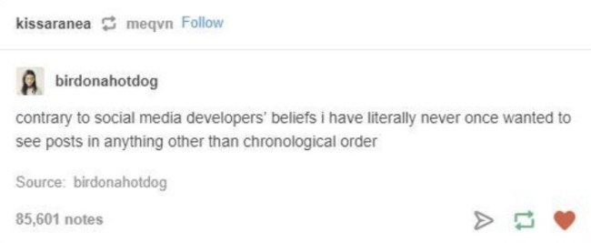 tumblr's best