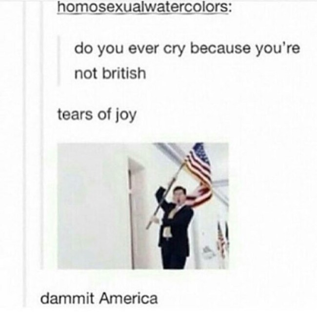 tumblr's best