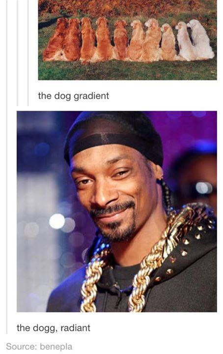 tumblr's best