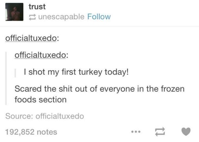 tumblr's best