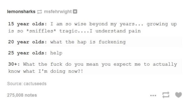 tumblr's best