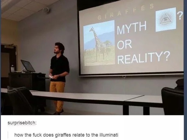 tumblr's best