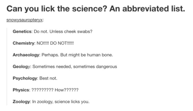 tumblr's best