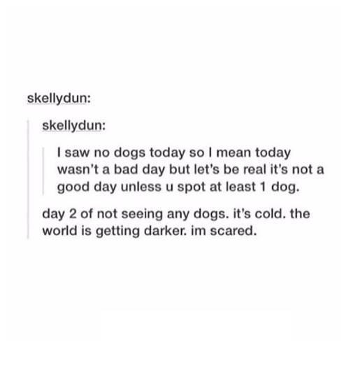 tumblr's best
