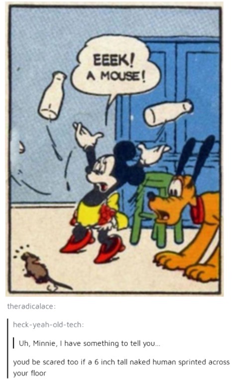 tumblr's best