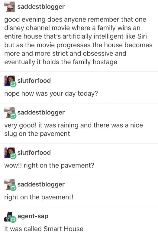 tumblr's best