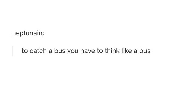 tumblr's best