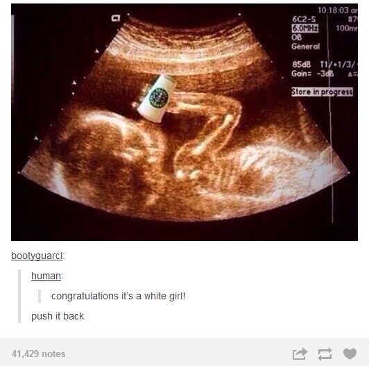 tumblr's best