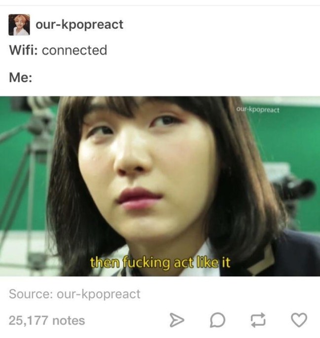 tumblr's best