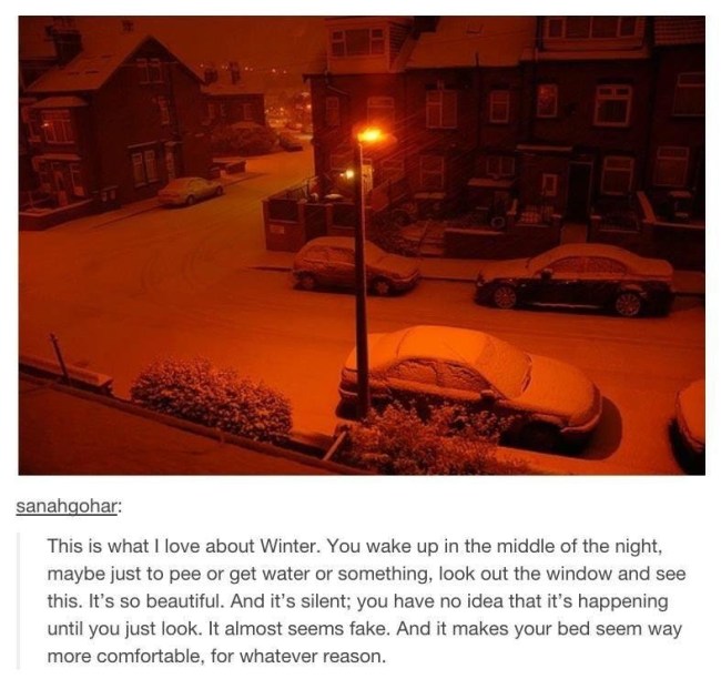 tumblr's best
