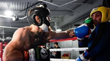 Paulie Malignaggi Claims He Was ‘Beating The Brakes’ Off Conor McGregor Before Knockdown Pic