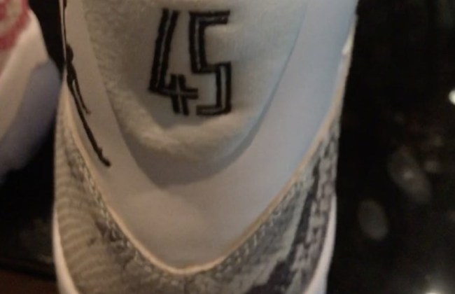 Drake Jordans Snakeskin